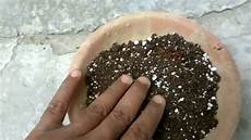 Perlite Clay Soil