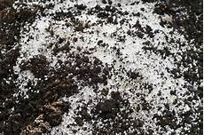 Perlite Potting Soil