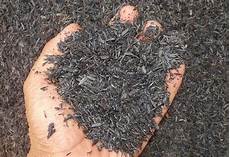 Cocopeat Perlite