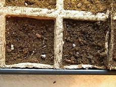 Espoma Perlite