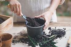 Fungsi Perlite