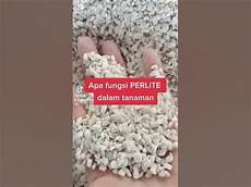 Fungsi Perlite