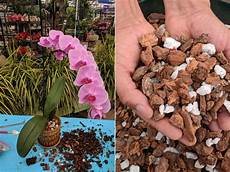 Grow It Perlite