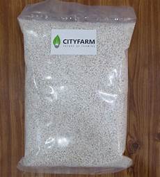 Growing In Perlite