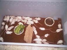 Jual Vermiculite