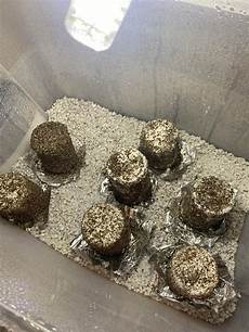 Moist Perlite