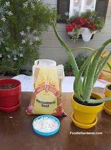 Perlite Aloe Vera