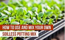 Perlite Clay
