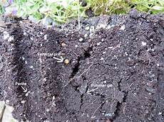 Perlite Fertilizer