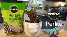 Perlite For Cuttings