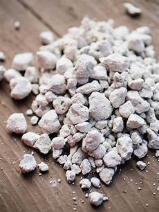 Perlite For Cuttings