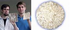 Perlite For Mushrooms