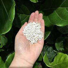 Perlite For Plants