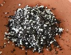 Perlite For Tomatoes