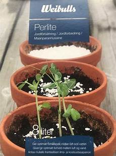Perlite Jord
