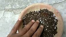 Perlite Menards