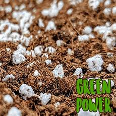 Perlite Moss