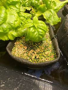 Perlite Nutrients