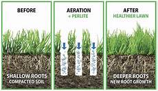 Perlite On Lawn