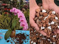 Perlite Peat