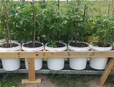 Perlite Peat