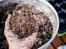 Perlite Potting