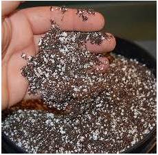 Perlite Promix