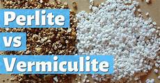Perlite Raised Beds