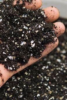 Perlite Raised Beds