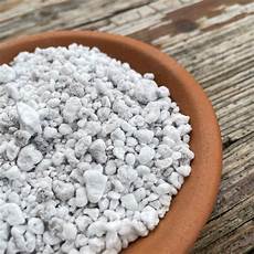 Perlite Soil