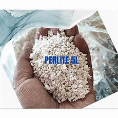 Perlite Tanaman