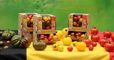 Perlite Tomatoes