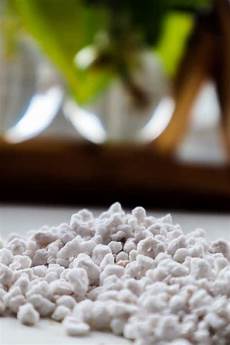 Perlite Woodie's