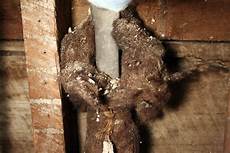 Pipe Isolation