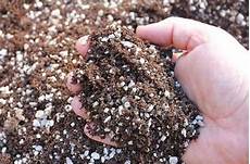 Potting Perlite