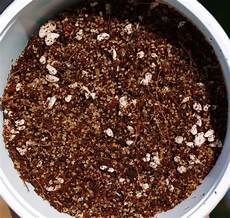 Promix Perlite