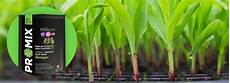 Promix Perlite