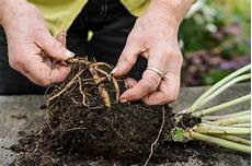 Propagation Perlite