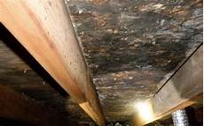 Roof Insulation Between