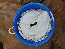 Sta Green Perlite