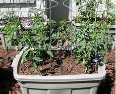 Sta Green Perlite
