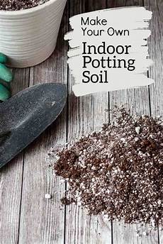 Succulent Soil Perlite
