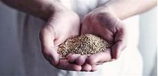 Vermiculite Eller Perlite
