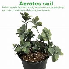 Viagrow Perlite