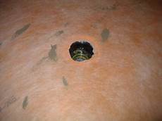 Wedi Membrane