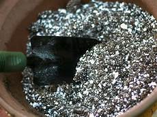 Wet Perlite