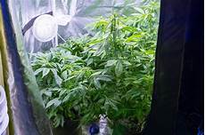 Whats Perlite